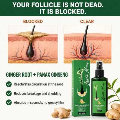 Your follicle is not dead, it is blocked: ginger root and panax ginseng at the root
