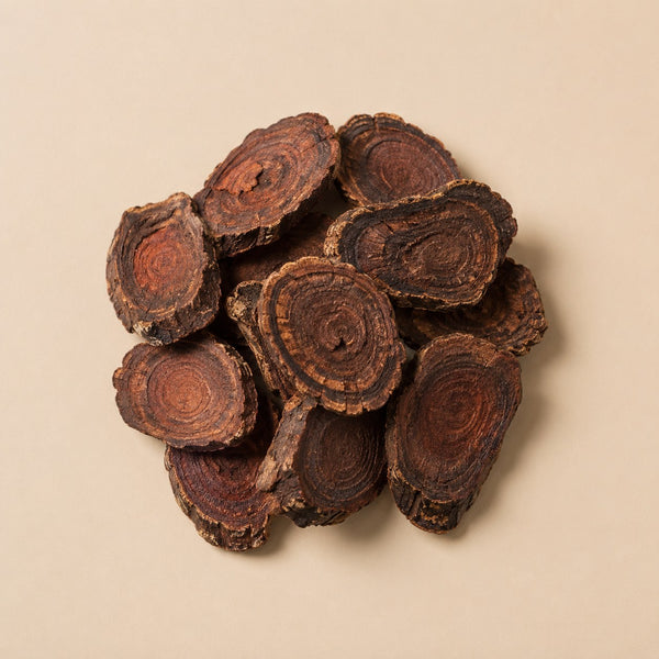 Polygonum multiflorum root slices